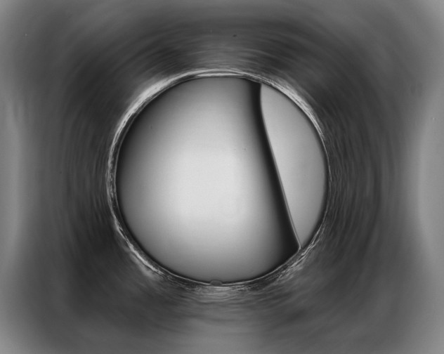 X0000087351485200704200754