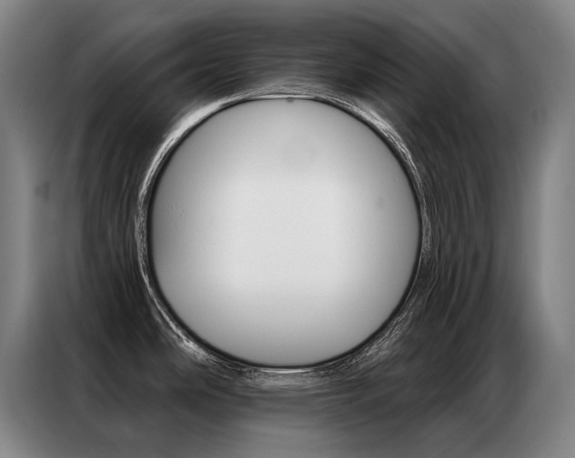 X0000087351486200704200754