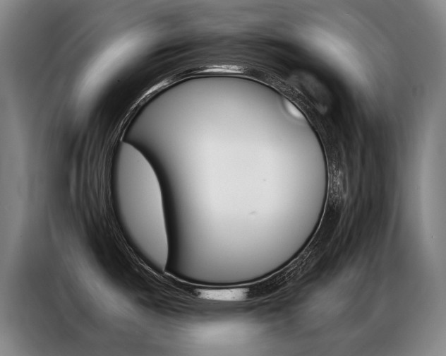 X0000087351487200704200754