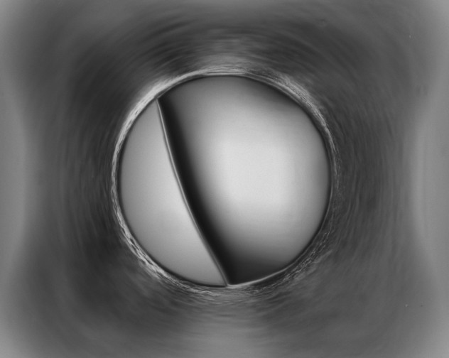 X0000087351488200704200754