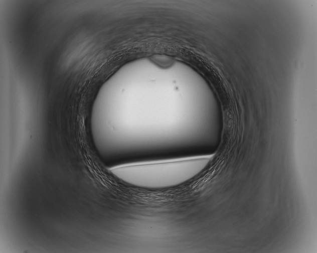 X0000087351489200704200753