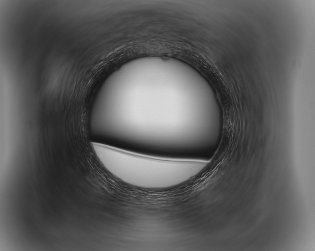 X0000087351490200704200753