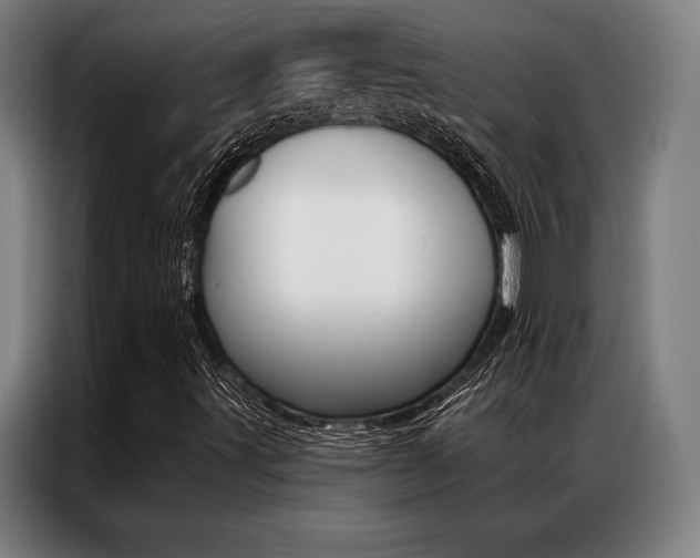 X0000087351491200704200753