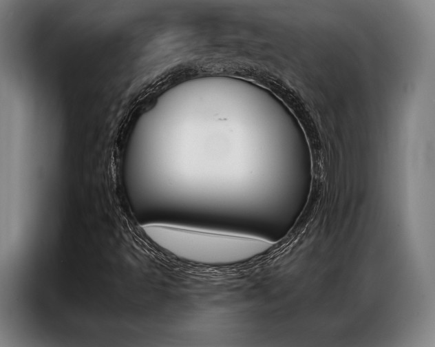 X0000087351493200704200753