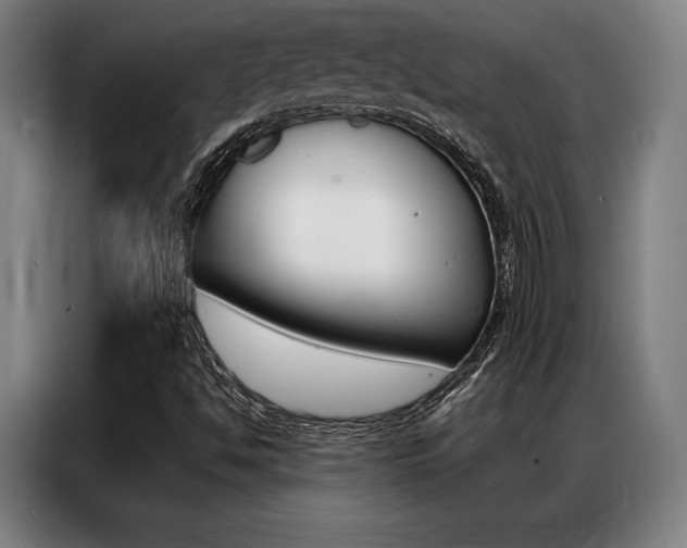 X0000087351494200704200753