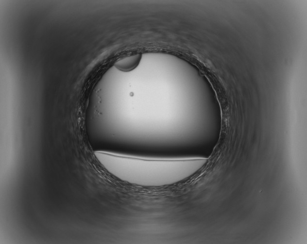 X0000087351495200704200753