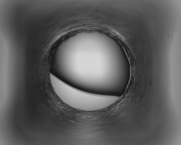 X0000087351496200704200753