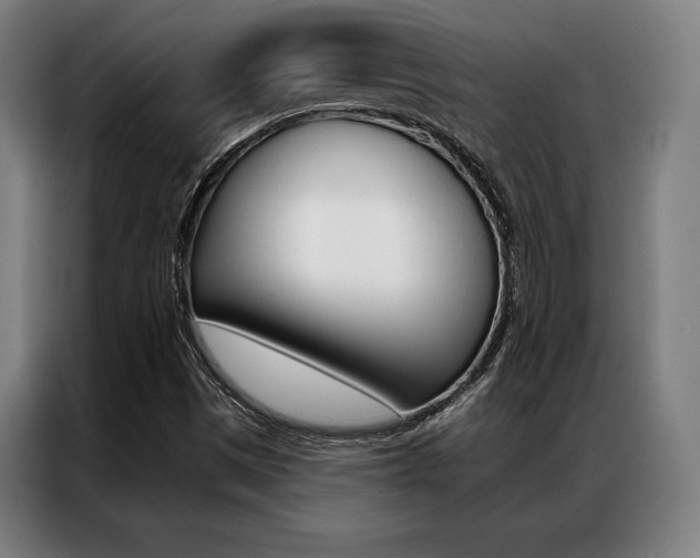 X0000087351497200704200753