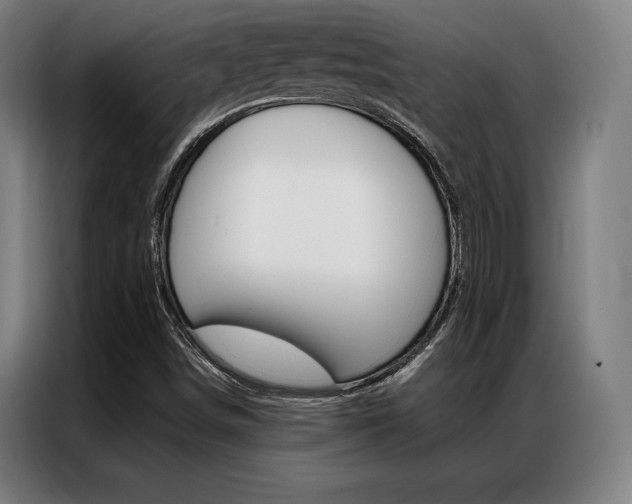 X0000087351498200704200753