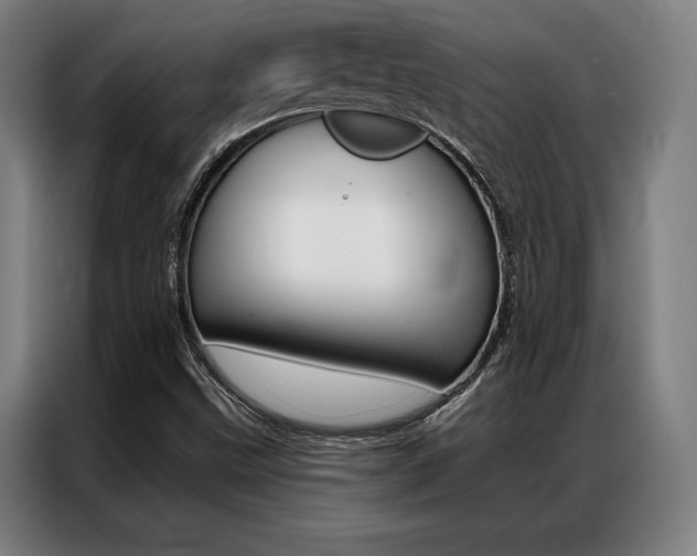X0000087351499200704200753