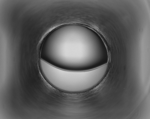 X0000087351500200704200753