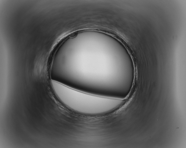 X0000087351501200704200753