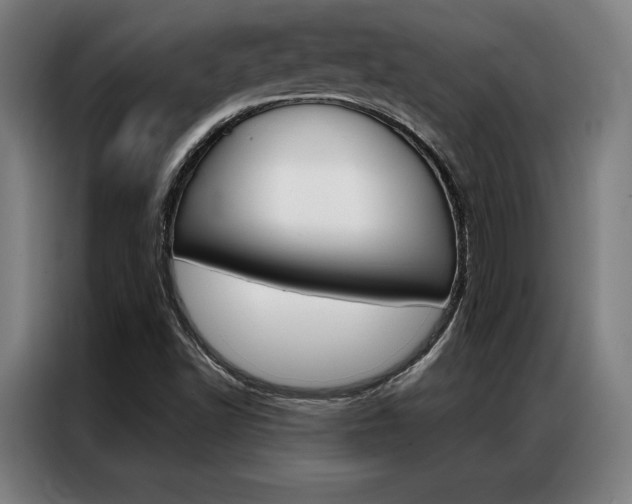 X0000087351502200704200753