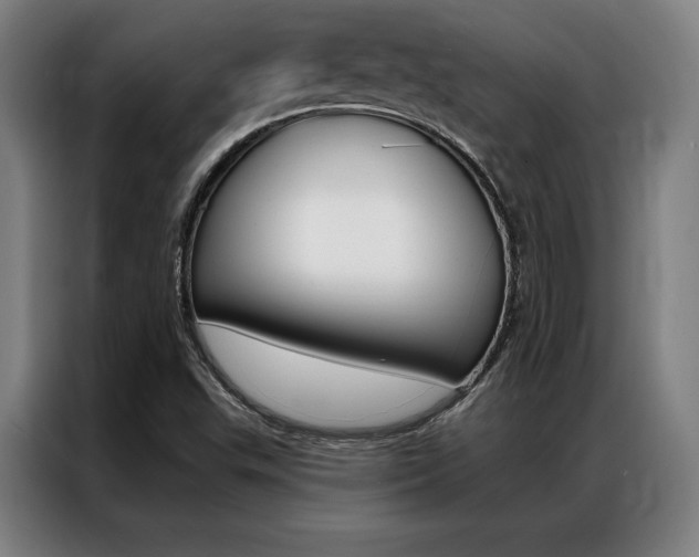 X0000087351503200704200753