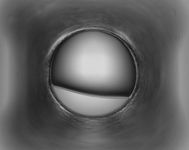 X0000087351504200704200753