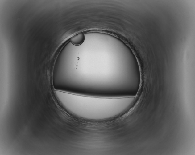 X0000087351505200704200753