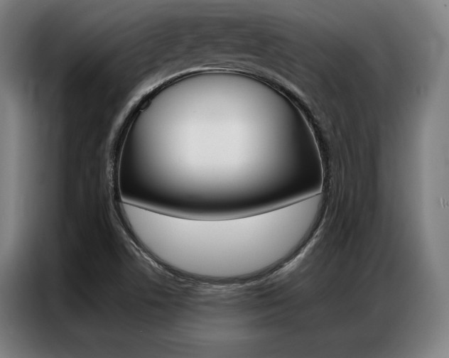 X0000087351506200704200753