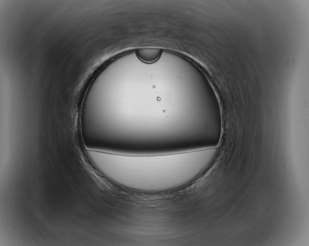 X0000087351507200704200753