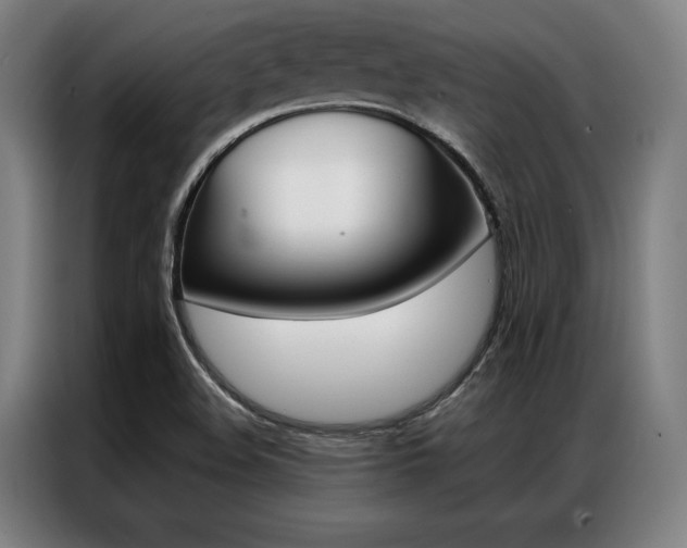 X0000087351508200704200753