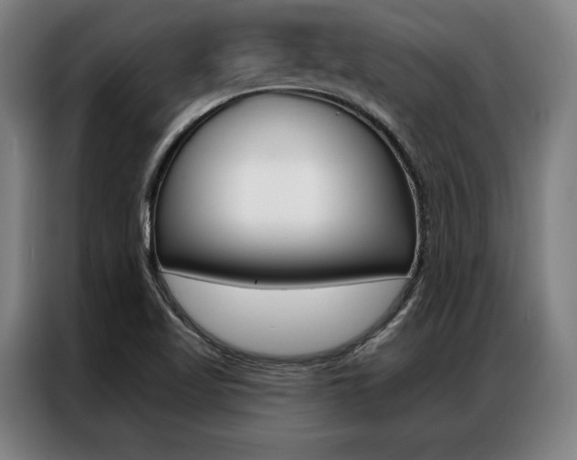 X0000087351509200704200753
