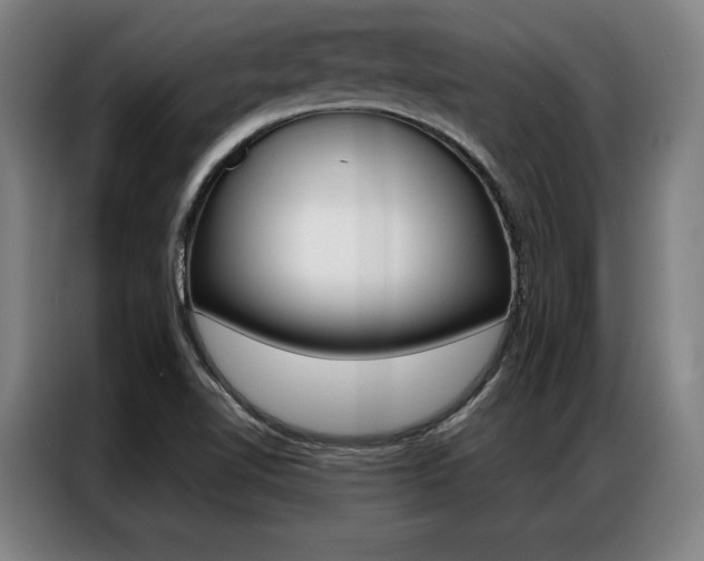 X0000087351510200704200753