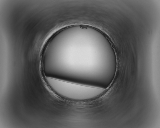 X0000087351511200704200753