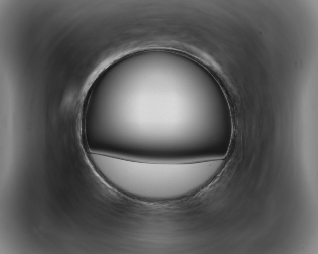 X0000087351512200704200753
