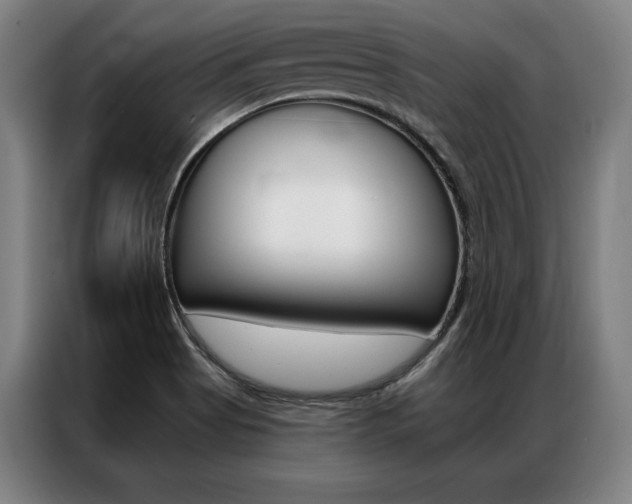 X0000087351513200704200753