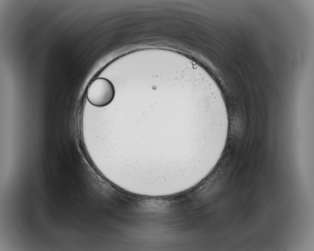 X0000087351514200704200753