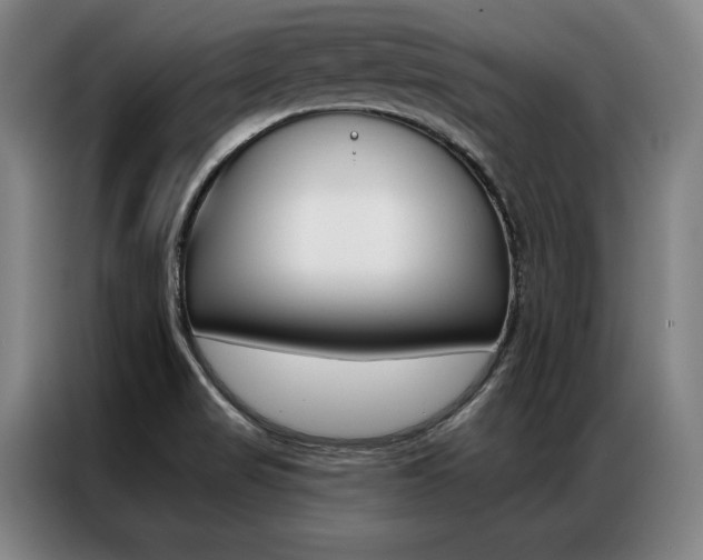 X0000087351517200704200753