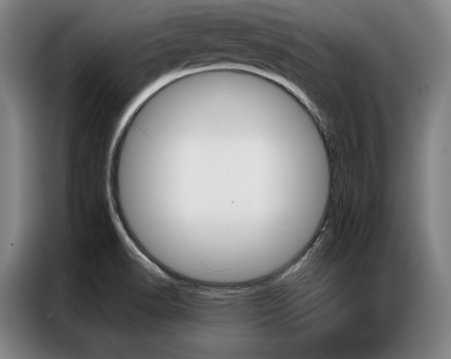X0000087351518200704200753