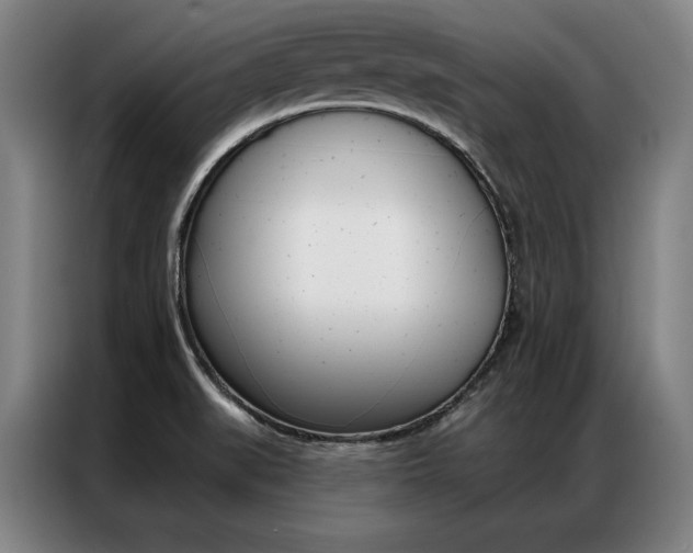 X0000087351519200704200753