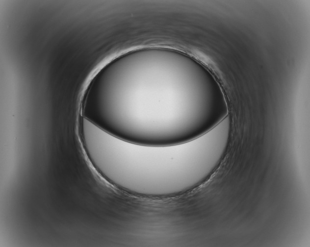 X0000087351520200704200753