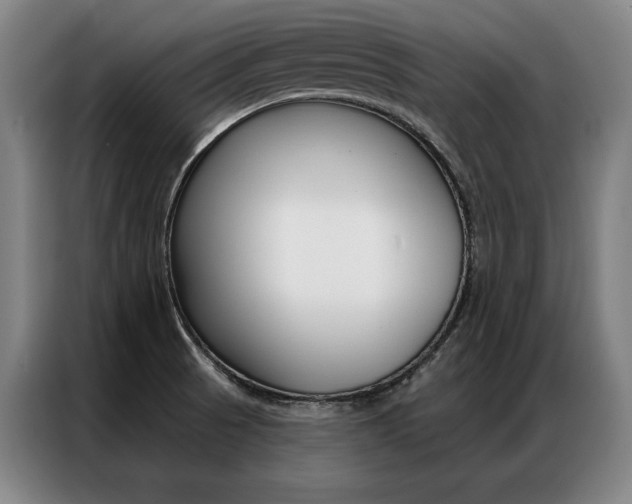 X0000087351521200704200753