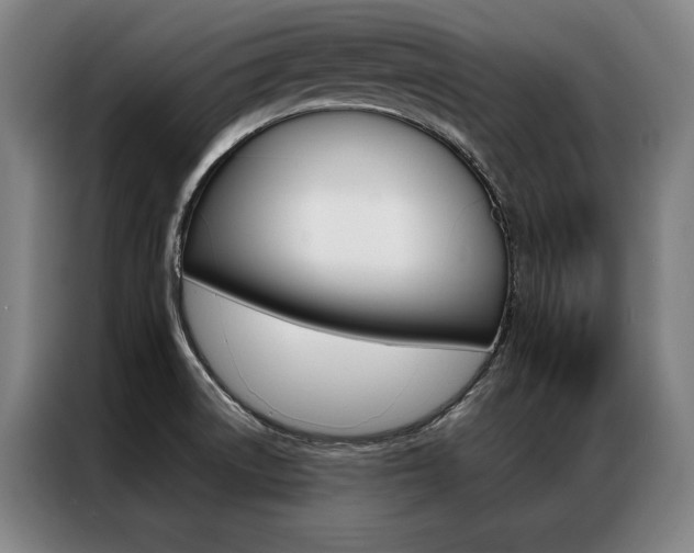 X0000087351522200704200753