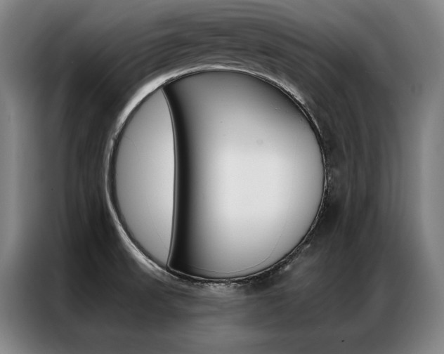 X0000087351523200704200753