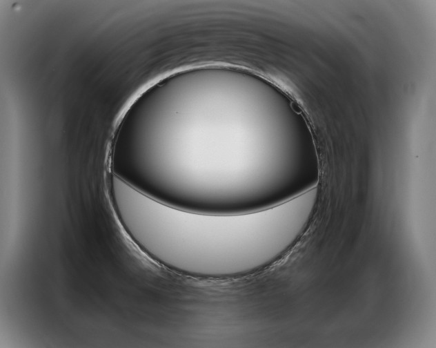 X0000087351524200704200753