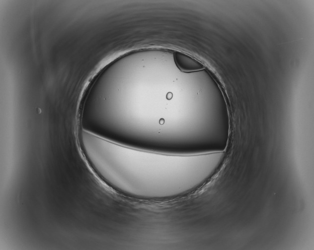 X0000087351525200704200753