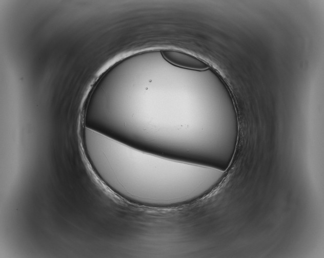 X0000087351526200704200753