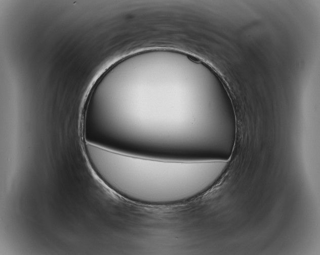 X0000087351527200704200753