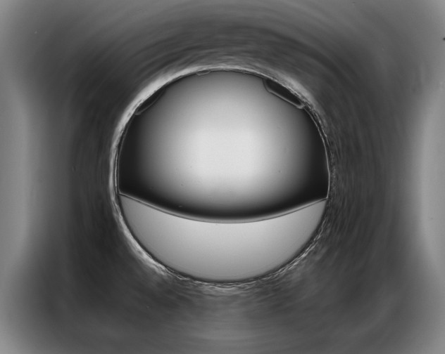 X0000087351528200704200753