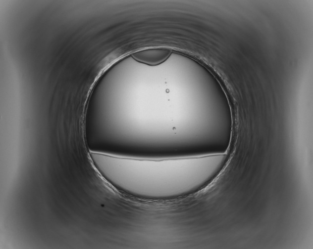 X0000087351529200704200754