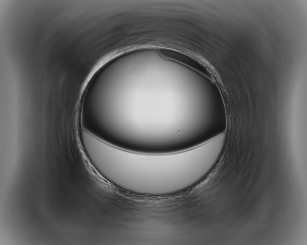X0000087351530200704200754
