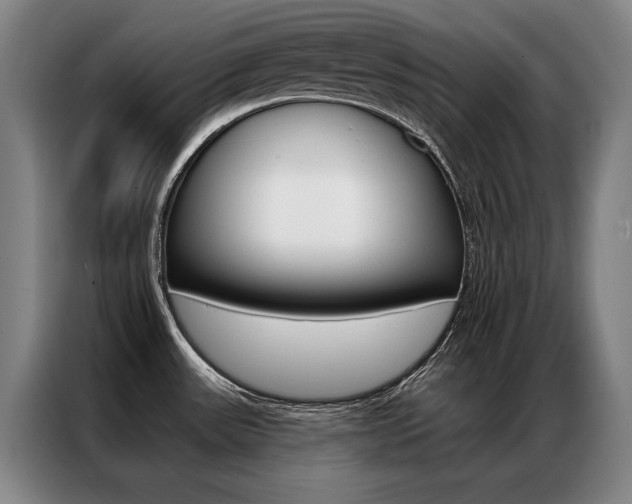 X0000087351531200704200754
