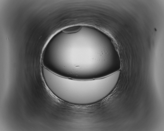 X0000087351532200704200754