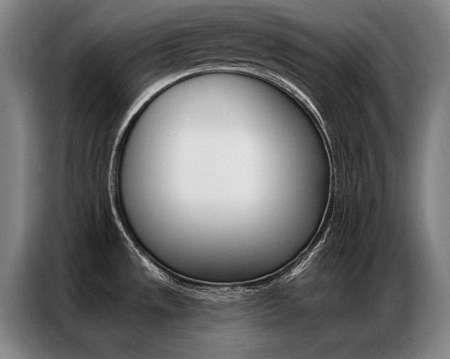 X0000087351533200704200754