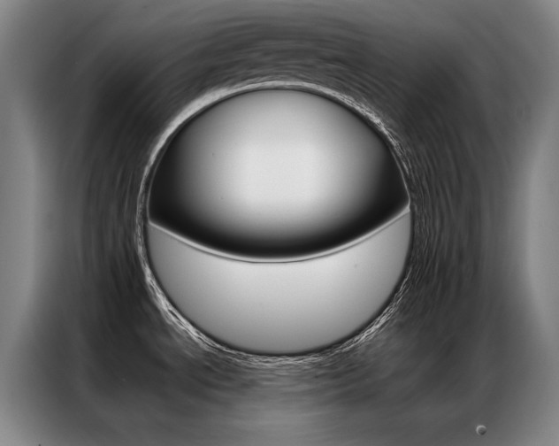X0000087351534200704200754