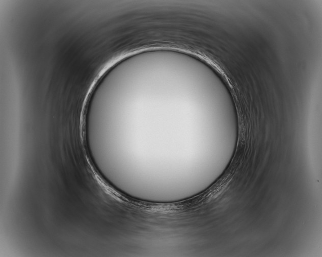 X0000087351535200704200754