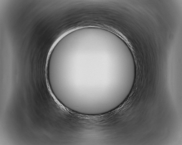 X0000087351536200704200754