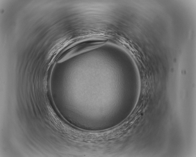 X0000087350002200704201134